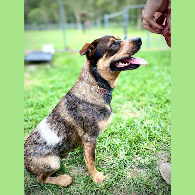 Photo of Max