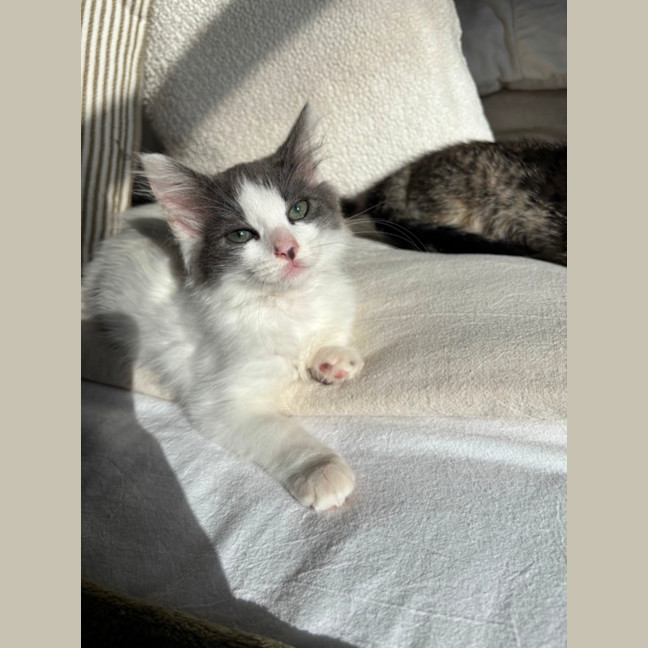 Photo of Albi & Atlas 