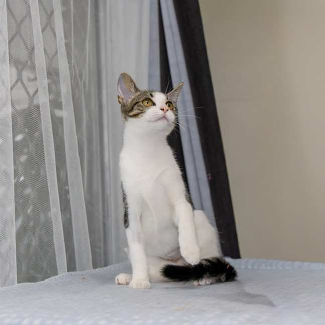 Photo of Macy