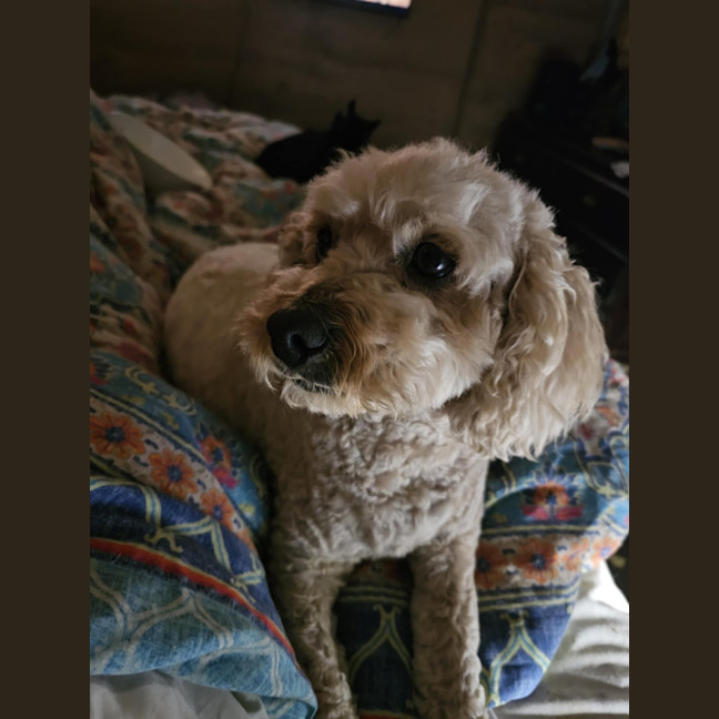 Photo of Cali And Theo