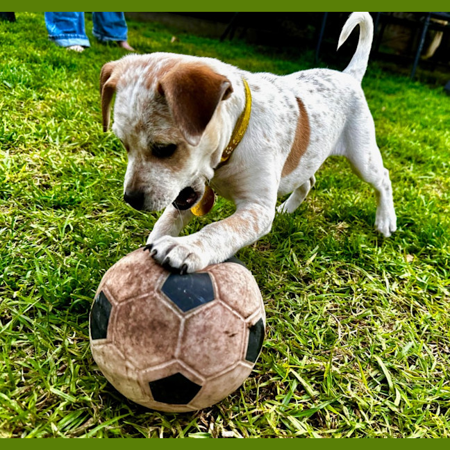Photo of Mimzy