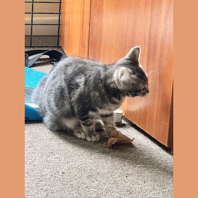 Photo of Zena
