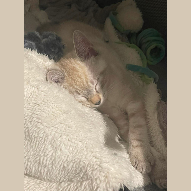 Photo of Marble