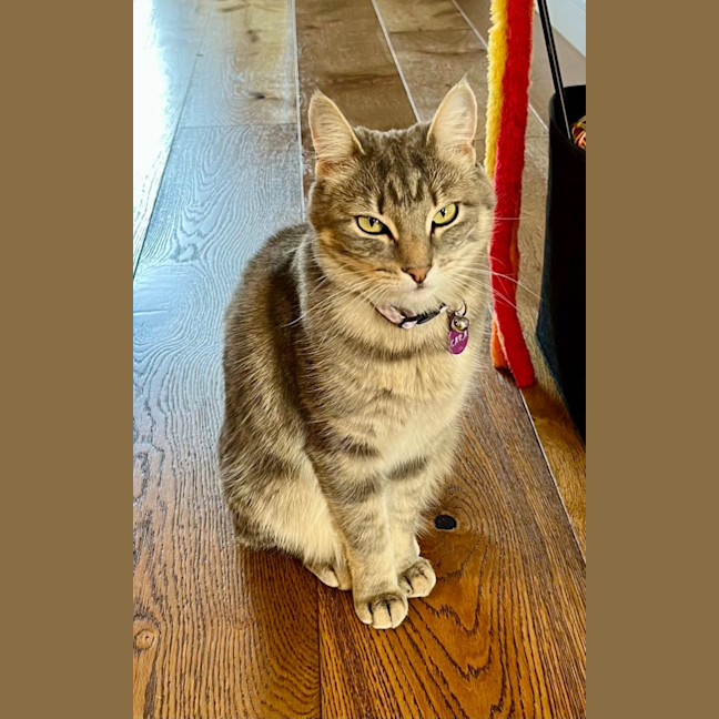 Photo of Lexi & Cara