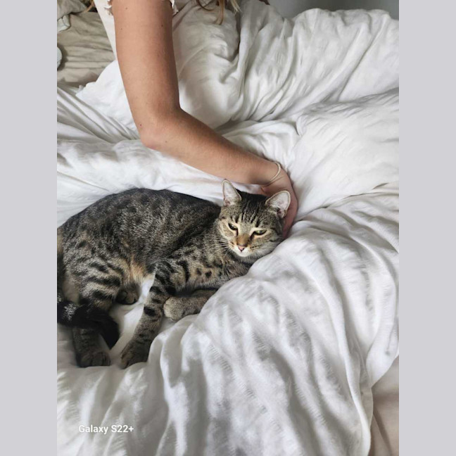 Photo of Ginny & George