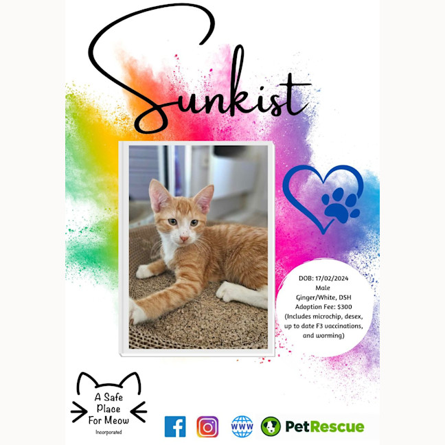 Photo of Sunkist