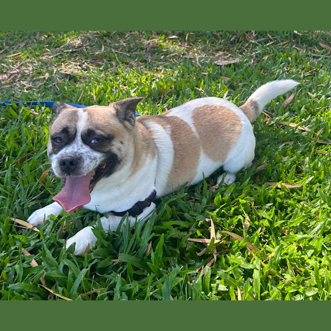 Photo of Huey