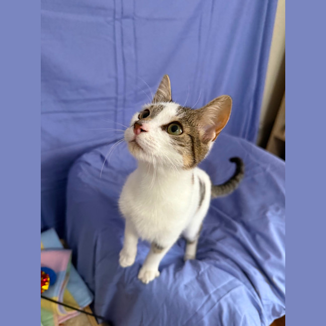 Photo of Richie 💙