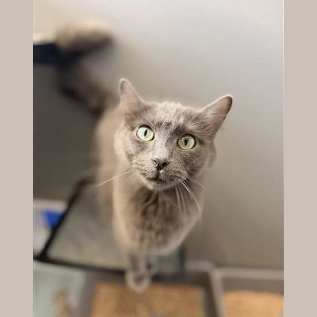 Photo of Luna