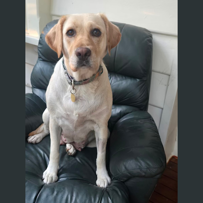 Photo of Hayleywaley