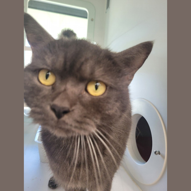 Photo of Clyde