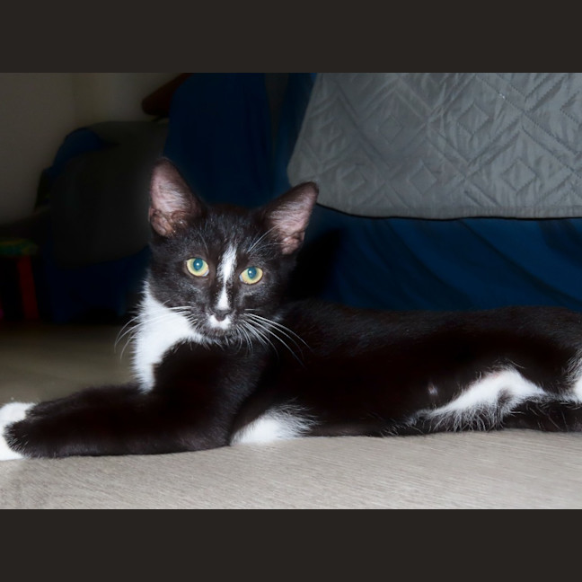 Photo of Crackers    K30