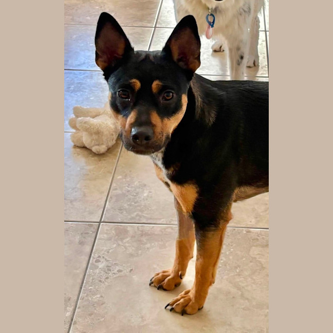 Photo of Winnie