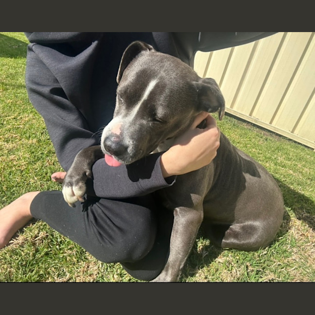 Photo of Stormi