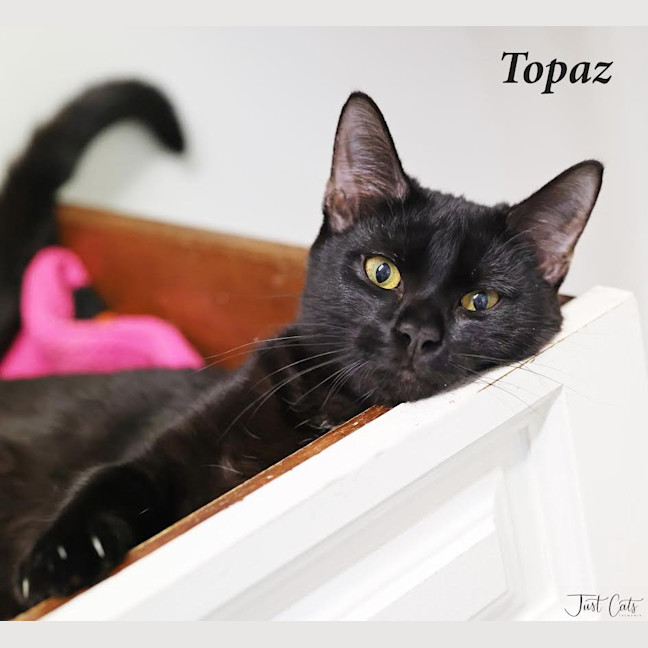 Photo of Topaz