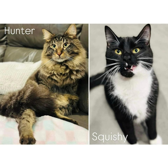 Photo of 11043/2   Squishy & Hunter