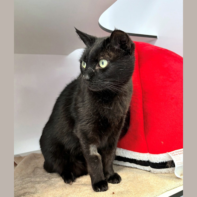 Photo of Humphrey Sta014284