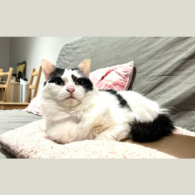 Photo of Bonny
