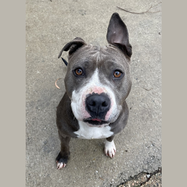 Photo of Tilly