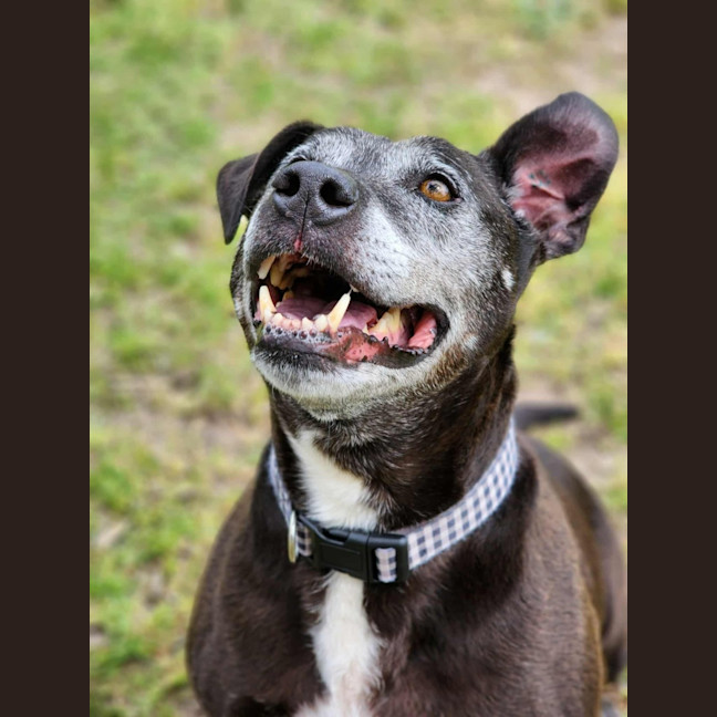 Photo of 🐻 Buster 6375 🐻