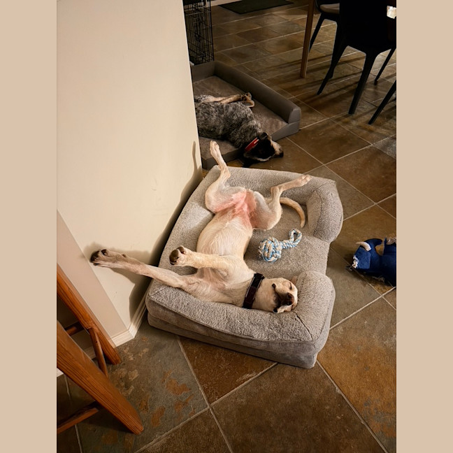 Photo of Dolly Pawton