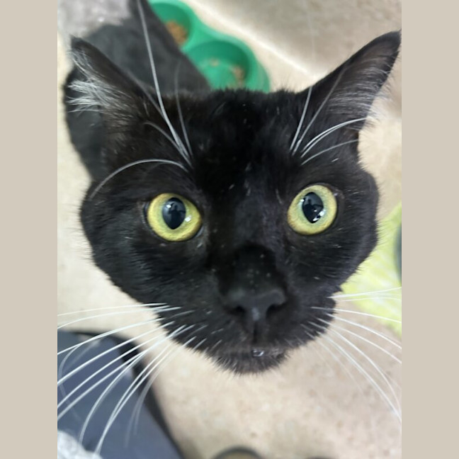 Photo of Simon
