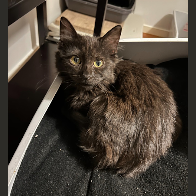Photo of Bobbi