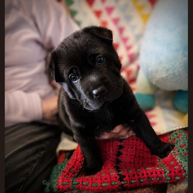 Photo of Gemma 