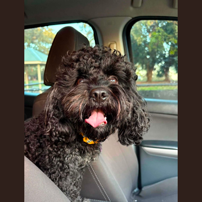 Photo of Theo