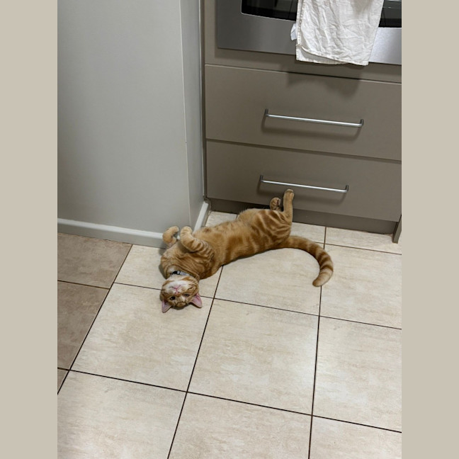 Photo of Popeye