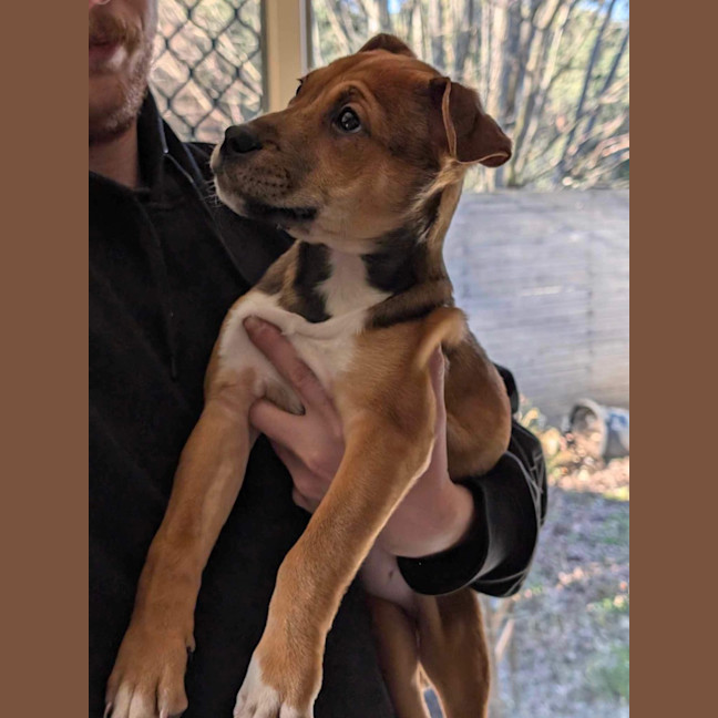 Photo of Bonnie