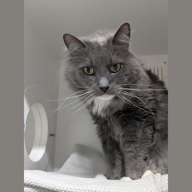 Photo of 💞 Pablo 6791 💞