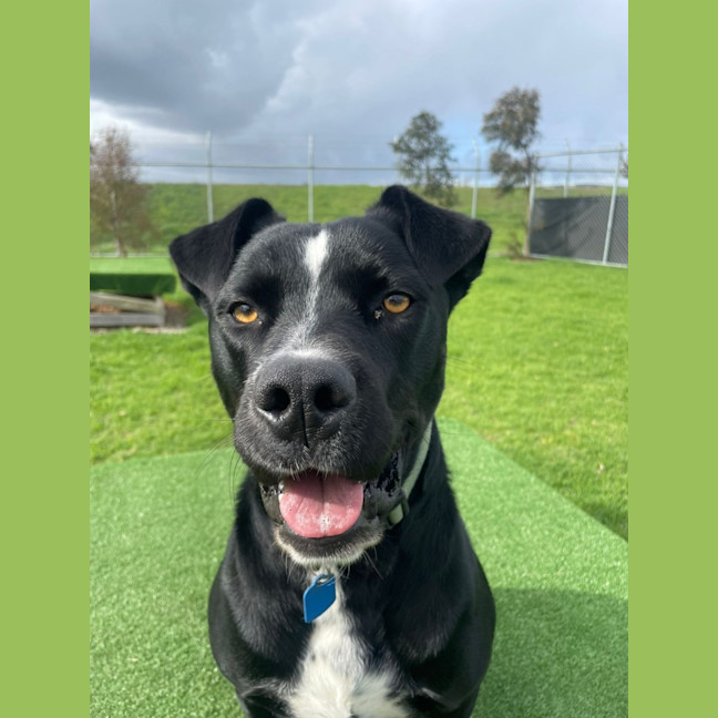 Photo of Storm