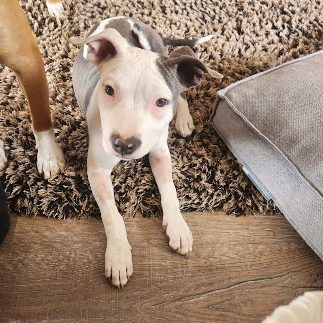 Photo of Solar (67646)