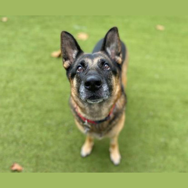 Photo of Heidi