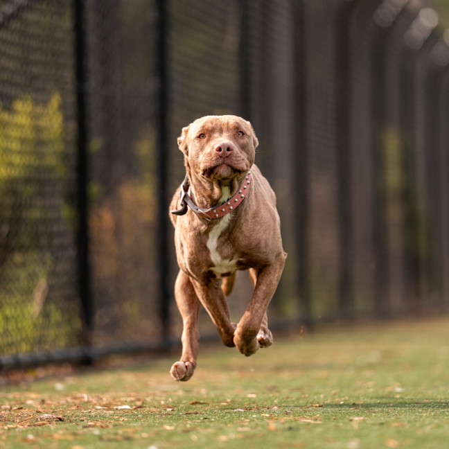 Photo of Sadie Imp 1053