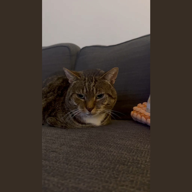 Photo of Tom