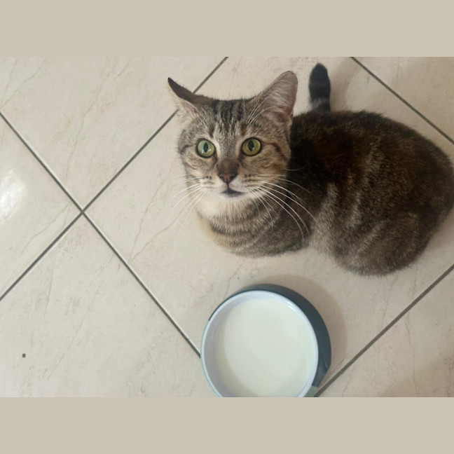 Photo of Angel