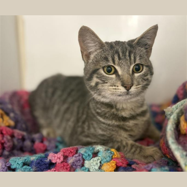 Photo of Kiki