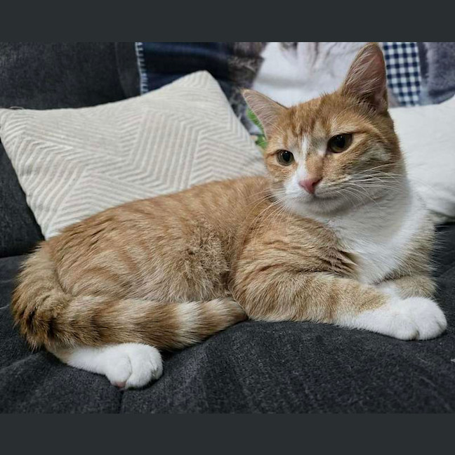 Photo of Lily