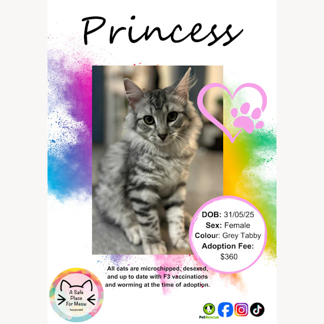 Photo of Princess