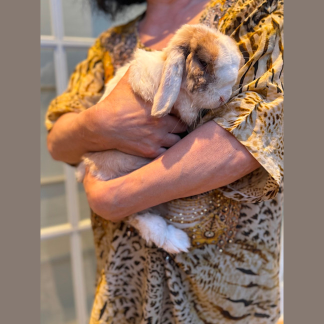 Photo of Prince Harry