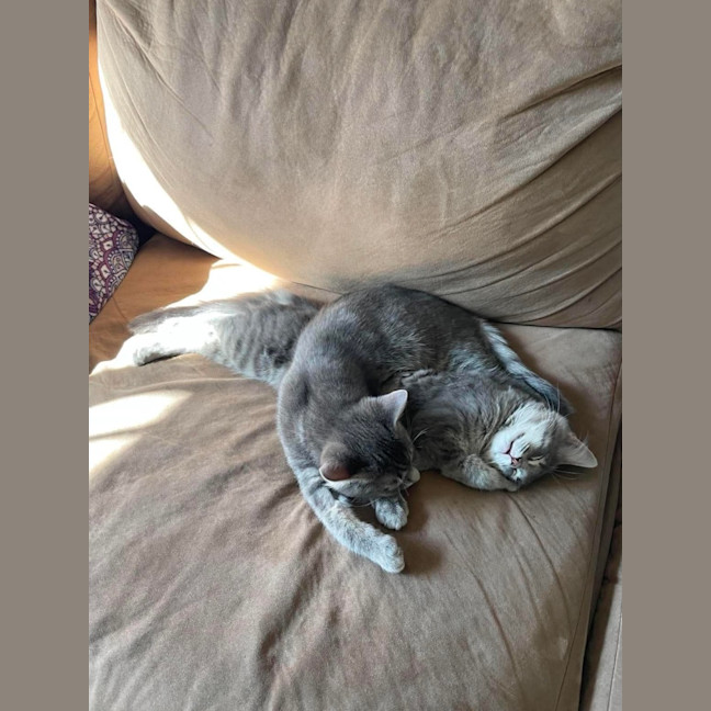 Photo of Floofy & Mr Beans