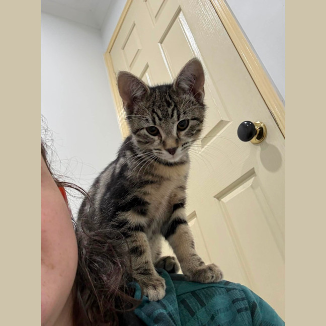 Photo of Cheezel & Milo