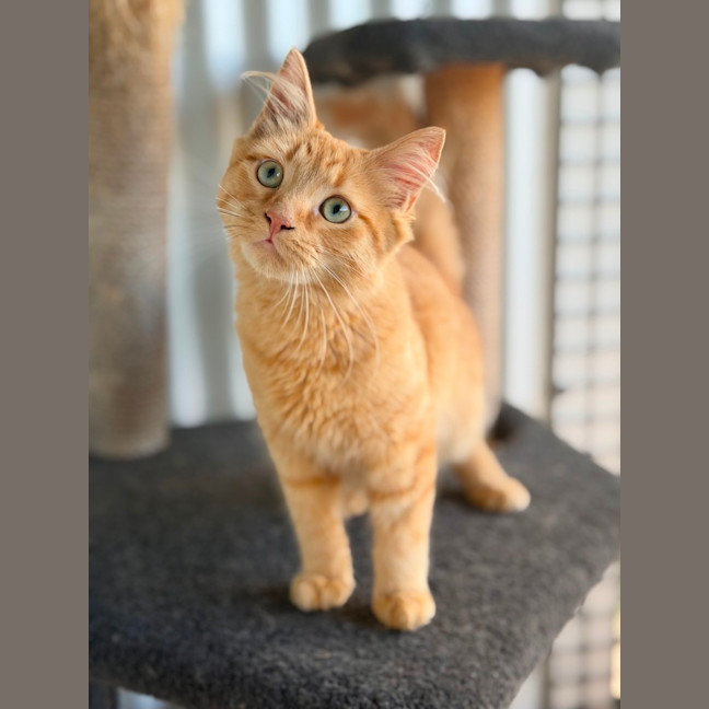 Photo of Parker