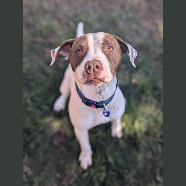 Photo of Duke