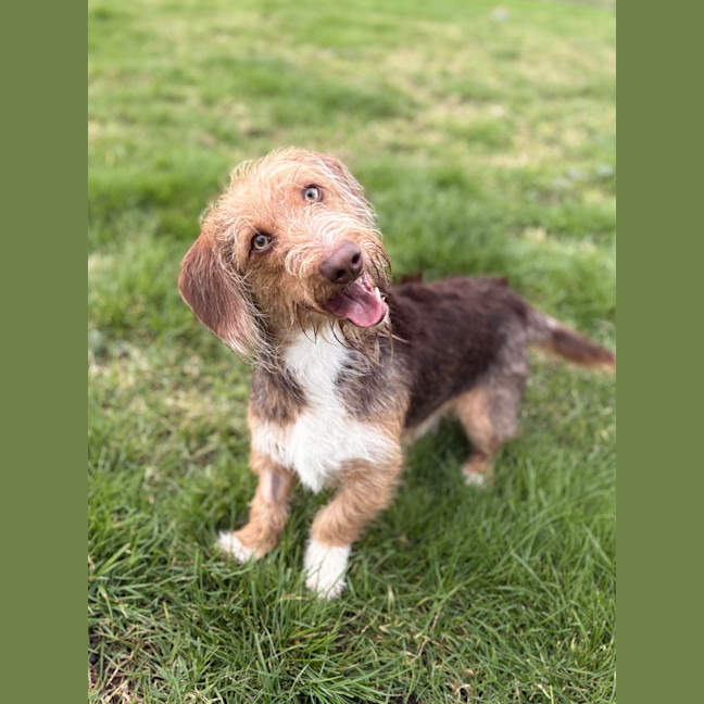 Photo of Lenni