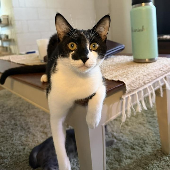 Photo of Percy