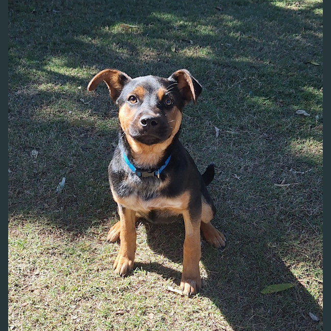 Photo of Nelly