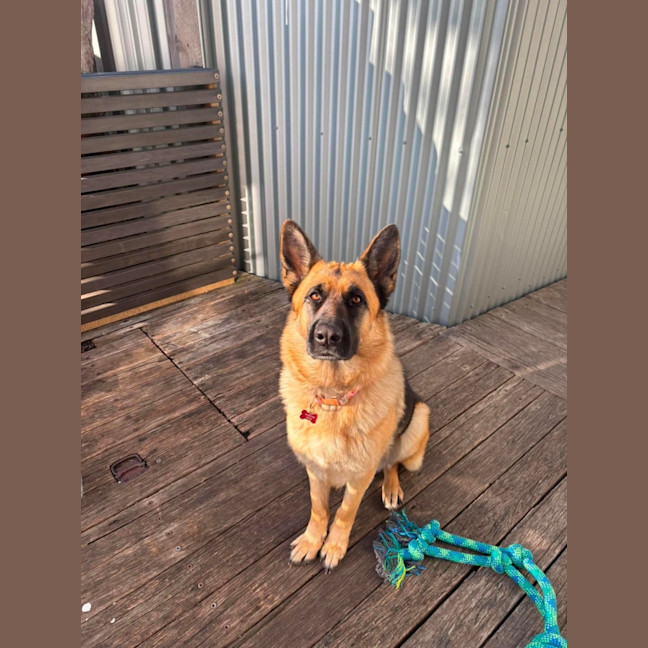 Photo of Nymeria